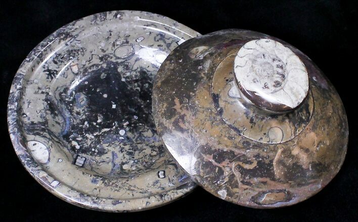 Fossil Goniatite Dish with Lid - Stoneware #18247